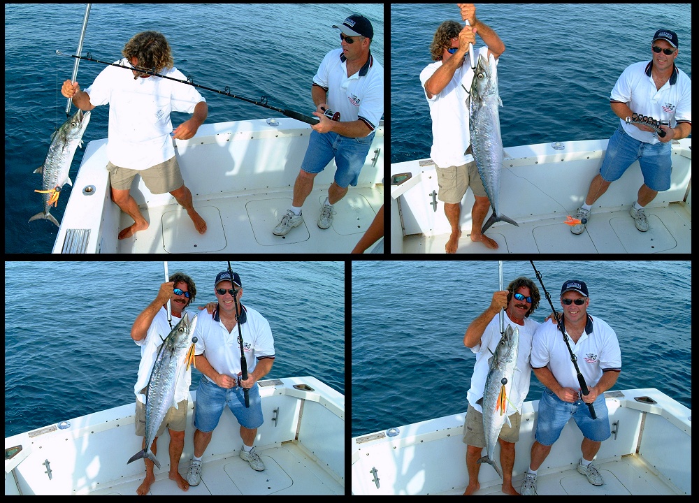 (15) montage (rig fishing).jpg   (1000x720)   379 Kb                                    Click to display next picture